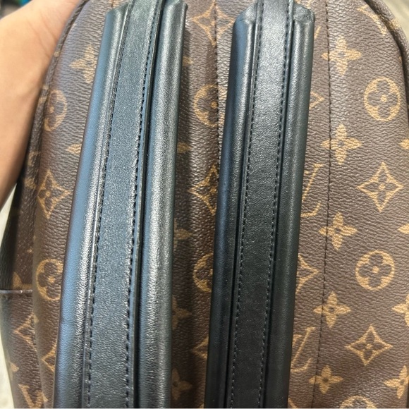 LOUIS VUITTON - Monogram Palm Springs PM main image 11